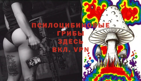 молекула духа Алексеевка