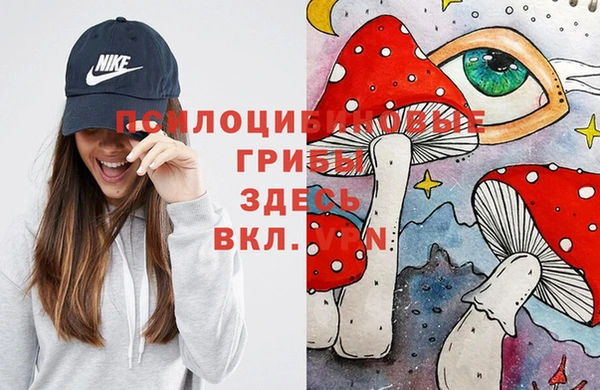 PSILOCYBIN Алексин
