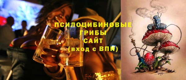 молекула духа Алексеевка