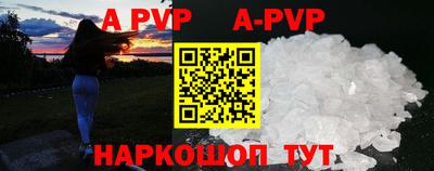 скорость Кингисепп