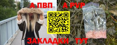 скорость Кингисепп
